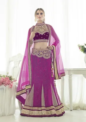 Classy Pink With Chiku Net Embroidery Lehenga Choli