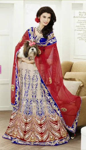 Light Beige Net Embroidery With Zari Stone Work Lehenga Choli
