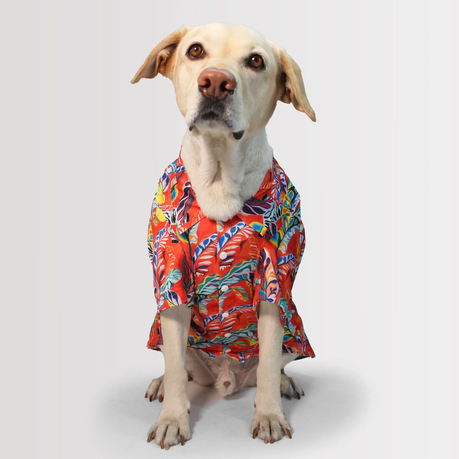 Red Hawaii Shirt