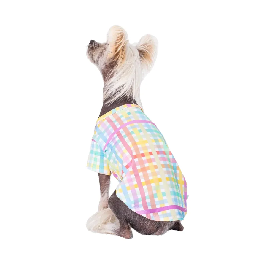 Vibrant Hound Colour Me Gingham