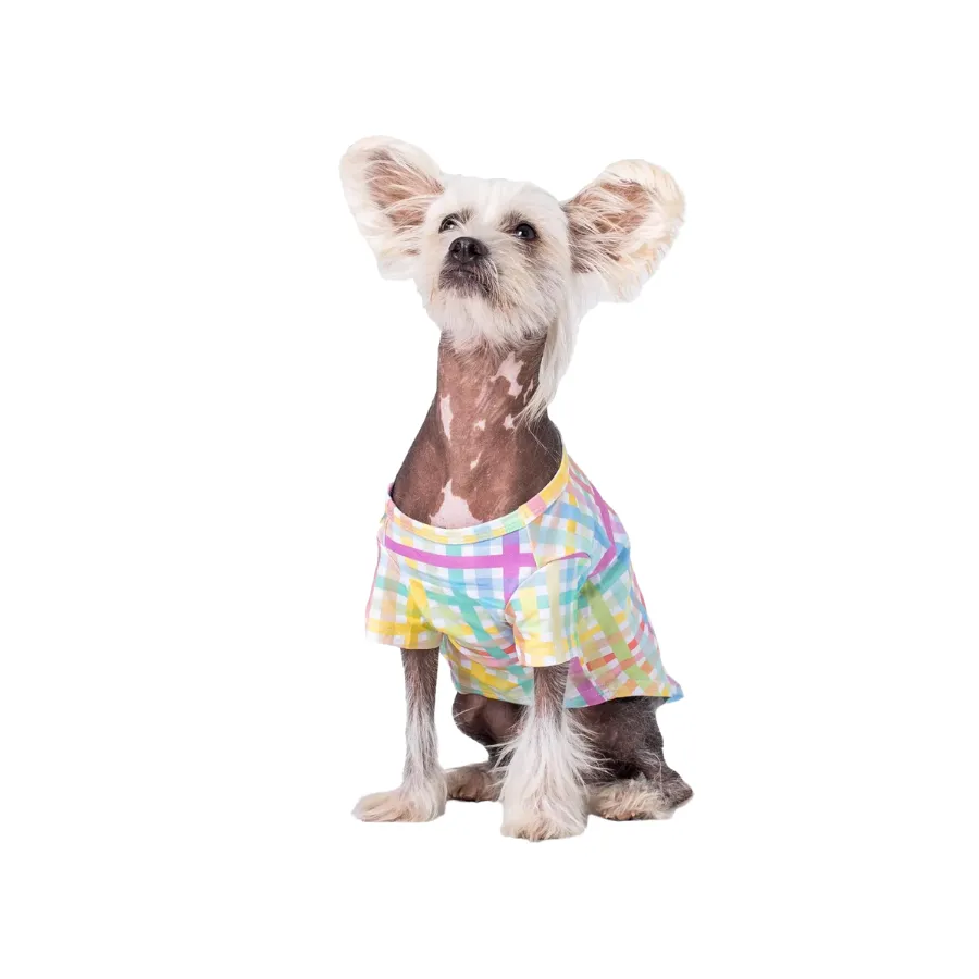 Vibrant Hound Colour Me Gingham