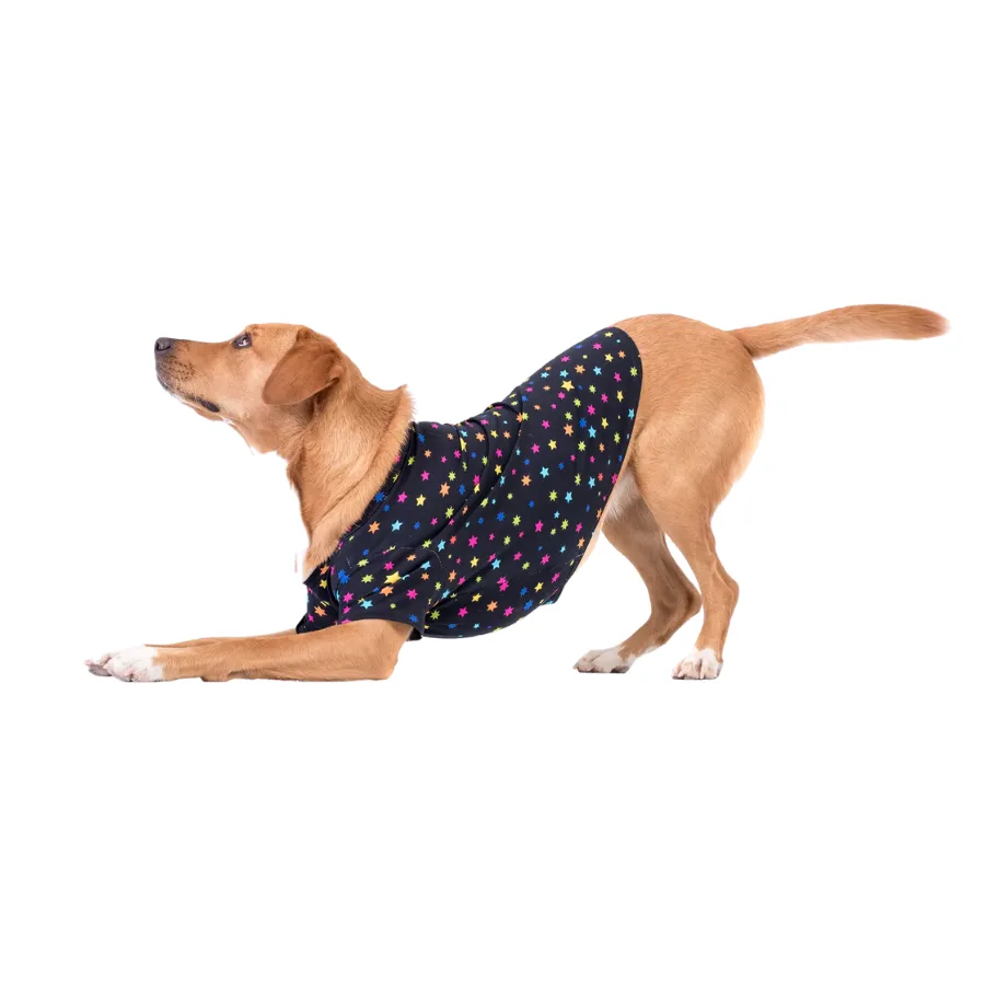 Vibrant Hound Star Gazer