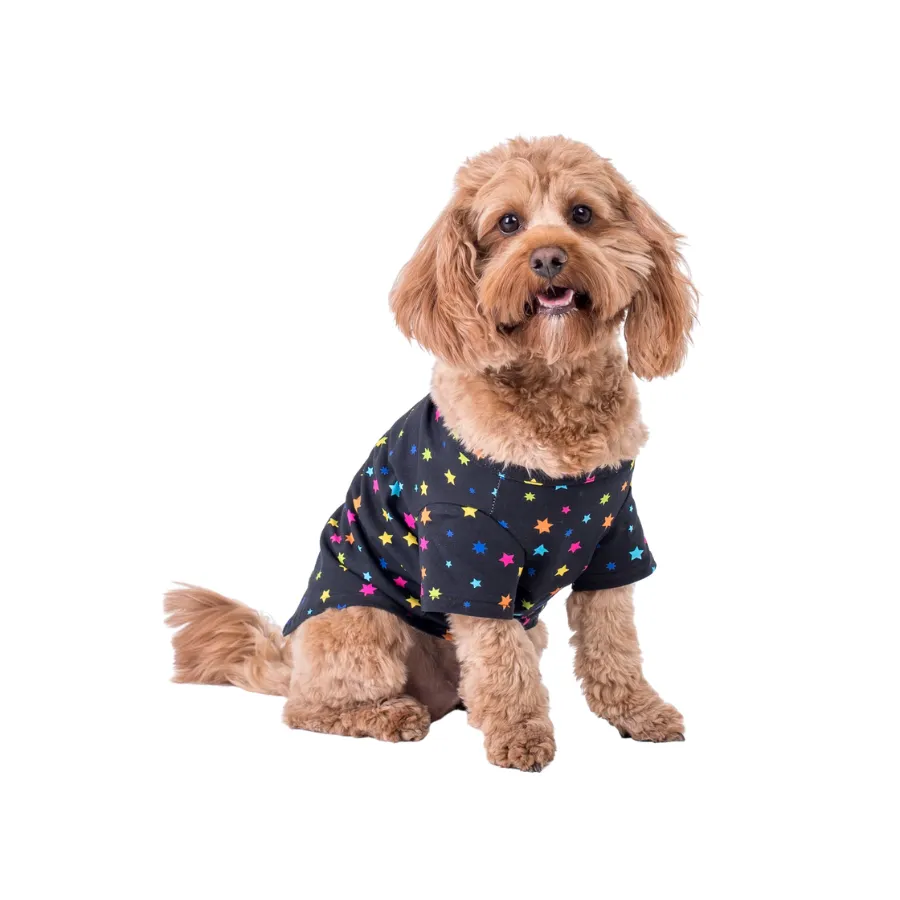 Vibrant Hound Star Gazer